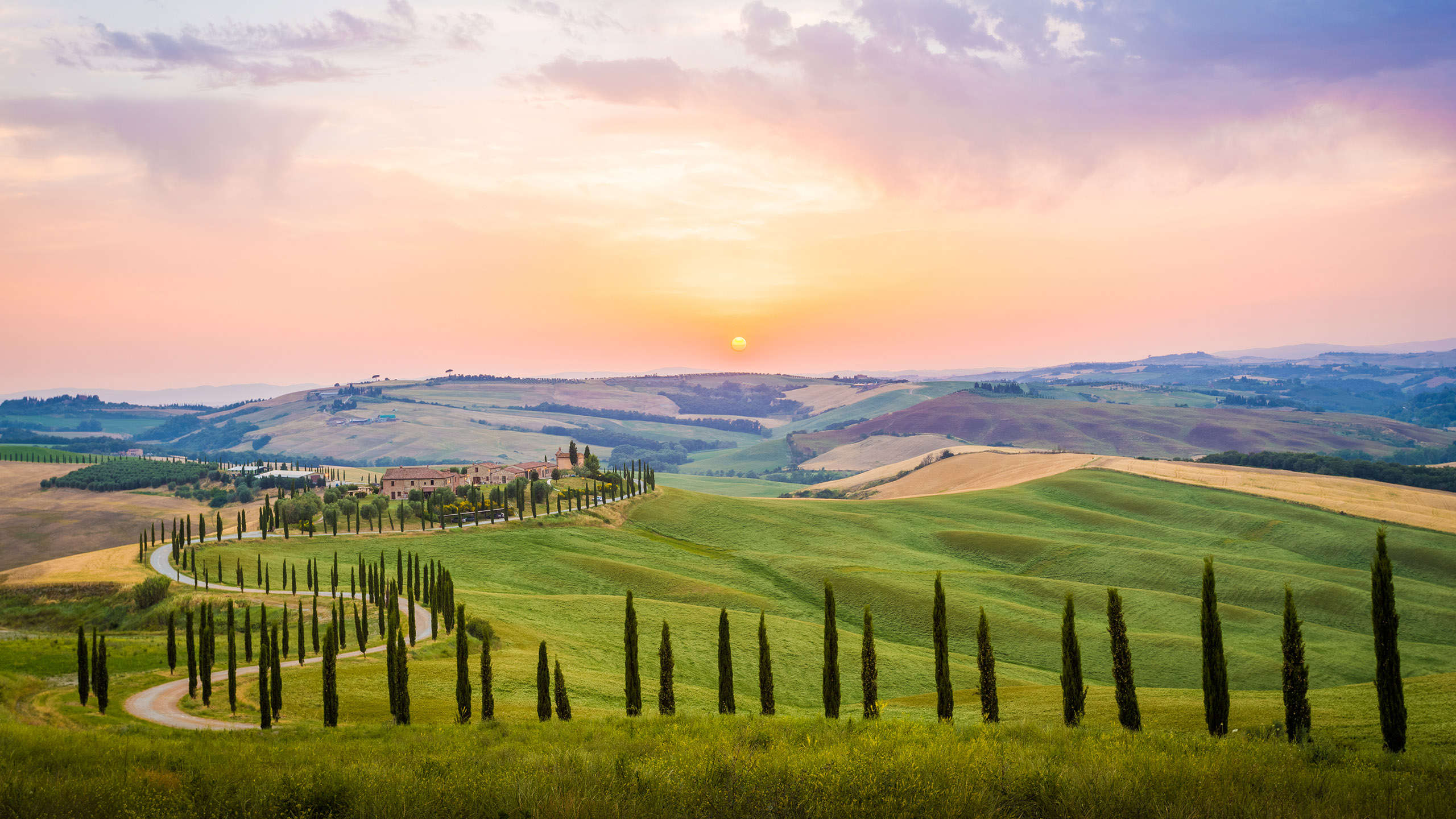 selection-header