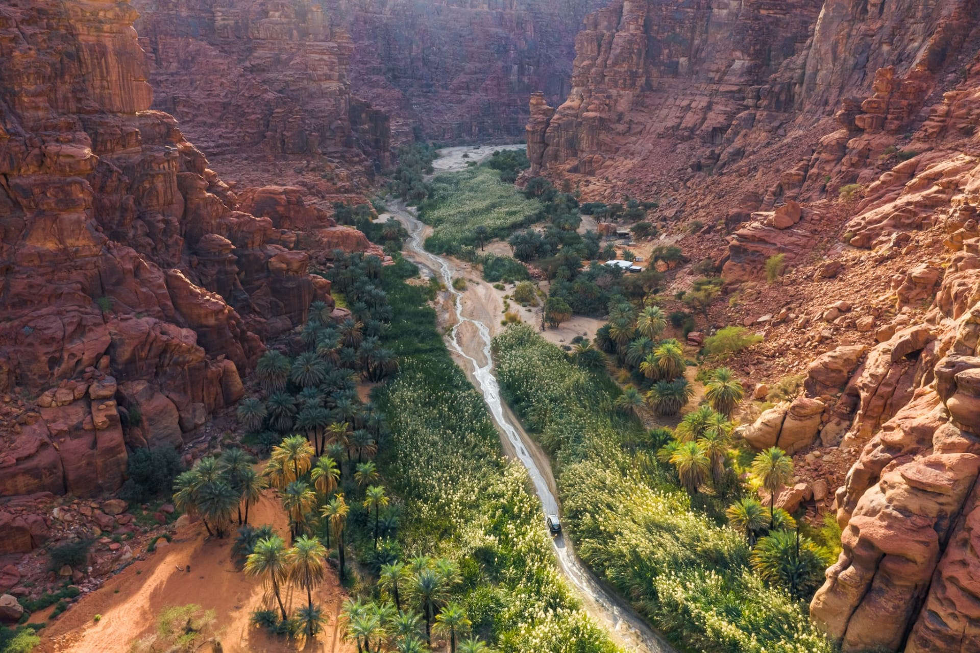 galery image: https://cdn-ynd-nav.technolab.com.ru/file/68cd897de5a68d3ec1eb9cab