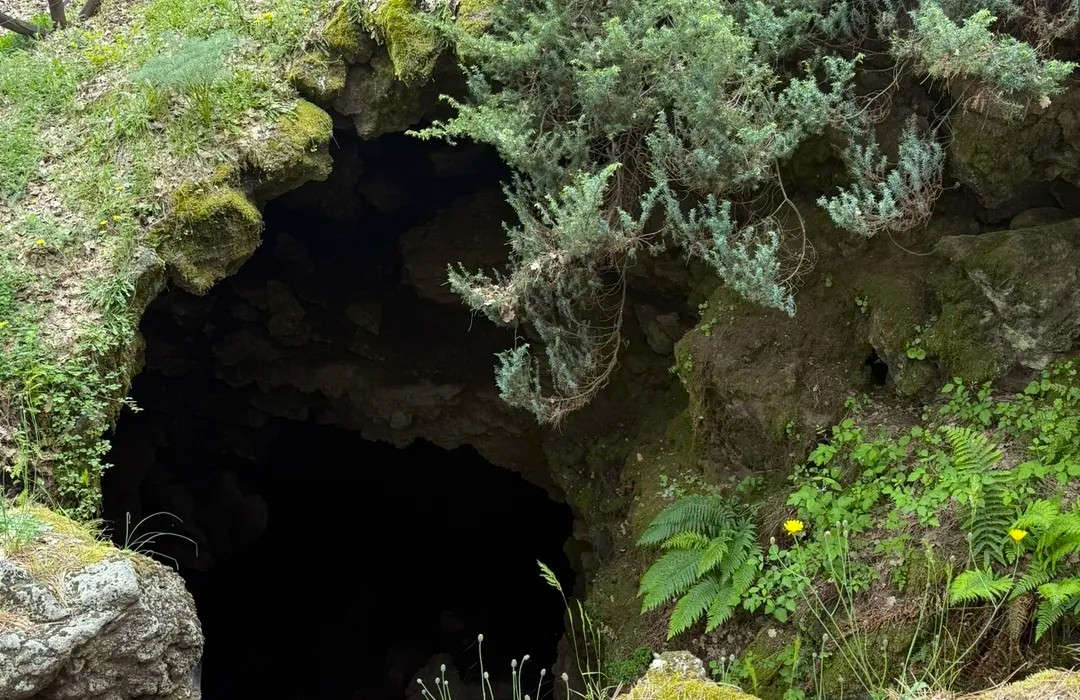 galery image: https://cdn-ynd-nav.technolab.com.ru/file/68d4ae812a5fb8350bbeba69