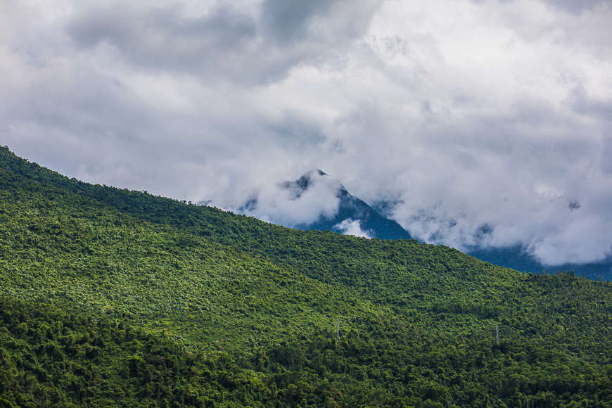 selection-header